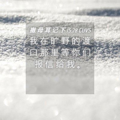 Picture 04 - 撒 母 耳 记 下 15:28 CUVS - 我 在 旷 野 的 渡 口 那 里 等 你 们 - Bible Verse Picture