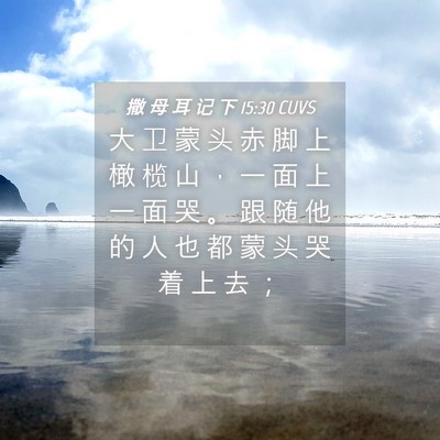 Picture 04 - 撒 母 耳 记 下 15:30 CUVS - 大 卫 蒙 头 赤 脚 上 橄 榄 山 ， 一 - Bible Verse Picture