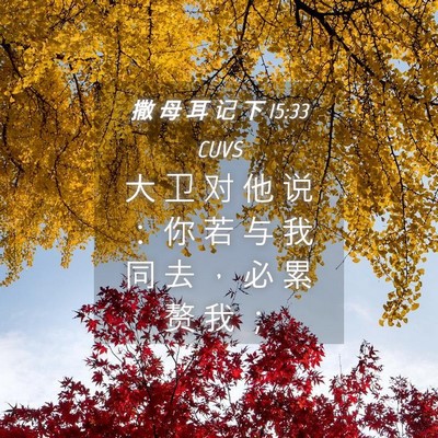 Picture 04 - 撒 母 耳 记 下 15:33 CUVS - 大 卫 对 他 说 ： 你 若 与 我 同 去 - Bible Verse Picture