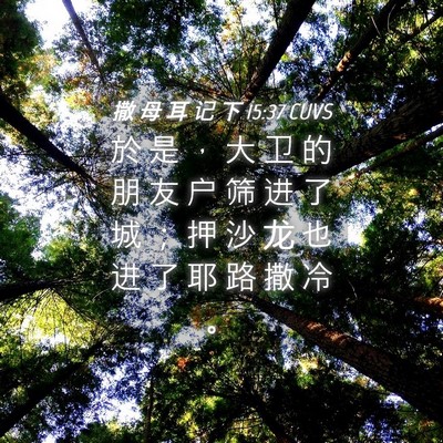 Picture 04 - 撒 母 耳 记 下 15:37 CUVS - 於 是 ， 大 卫 的 朋 友 户 筛 进 了 - Bible Verse Picture
