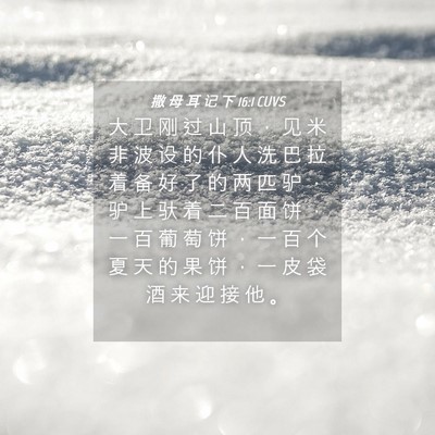 Picture 04 - 撒 母 耳 记 下 16:1 CUVS - 大 卫 刚 过 山 顶 ， 见 米 非 波 设 - Bible Verse Picture