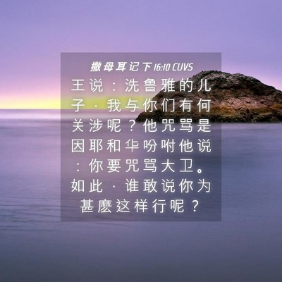 Picture 04 - 撒 母 耳 记 下 16:10 CUVS - 王 说 ： 洗 鲁 雅 的 儿 子 ， 我 与 - Bible Verse Picture