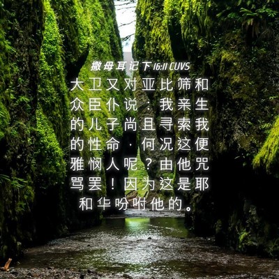 Picture 04 - 撒 母 耳 记 下 16:11 CUVS - 大 卫 又 对 亚 比 筛 和 众 臣 仆 说 - Bible Verse Picture