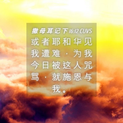 Picture 04 - 撒 母 耳 记 下 16:12 CUVS - 或 者 耶 和 华 见 我 遭 难 ， 为 我 - Bible Verse Picture