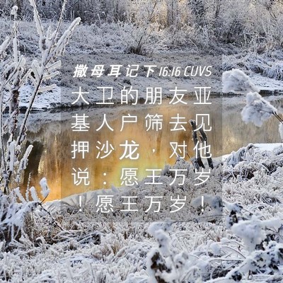 Picture 04 - 撒 母 耳 记 下 16:16 CUVS - 大 卫 的 朋 友 亚 基 人 户 筛 去 见 - Bible Verse Picture