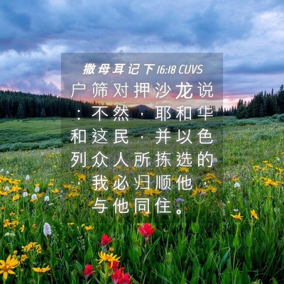 Picture 04 - 撒 母 耳 记 下 16:18 CUVS - 户 筛 对 押 沙 龙 说 ： 不 然 ， 耶 - Bible Verse Picture