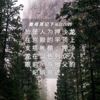 Picture 04 - 撒 母 耳 记 下 16:22 CUVS - 於 是 人 为 押 沙 龙 在 宫 殿 的 平 - Bible Verse Picture