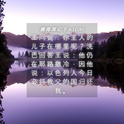 Picture 04 - 撒 母 耳 记 下 16:3 CUVS - 王 问 说 ： 你 主 人 的 儿 子 在 哪 - Bible Verse Picture