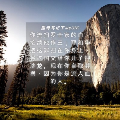 Picture 04 - 撒 母 耳 记 下 16:8 CUVS - 你 流 扫 罗 全 家 的 血 ， 接 续 他 - Bible Verse Picture