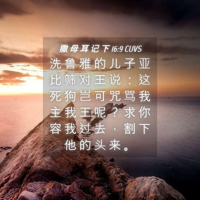 Picture 04 - 撒 母 耳 记 下 16:9 CUVS - 洗 鲁 雅 的 儿 子 亚 比 筛 对 王 说 - Bible Verse Picture