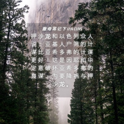Picture 04 - 撒 母 耳 记 下 17:14 CUVS - 押 沙 龙 和 以 色 列 众 人 说 ： 亚 - Bible Verse Picture
