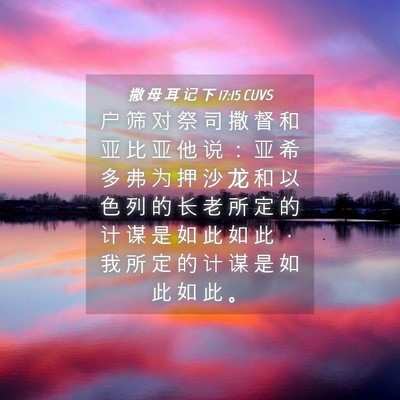 Picture 04 - 撒 母 耳 记 下 17:15 CUVS - 户 筛 对 祭 司 撒 督 和 亚 比 亚 他 - Bible Verse Picture