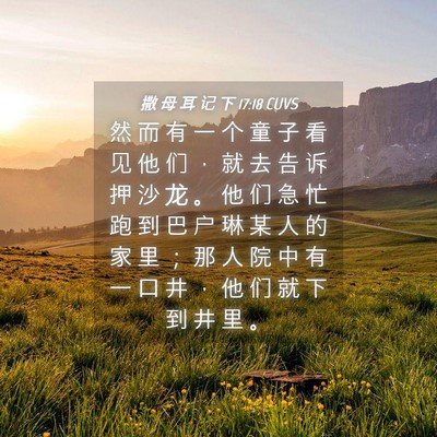 Picture 04 - 撒 母 耳 记 下 17:18 CUVS - 然 而 有 一 个 童 子 看 见 他 们 ， - Bible Verse Picture