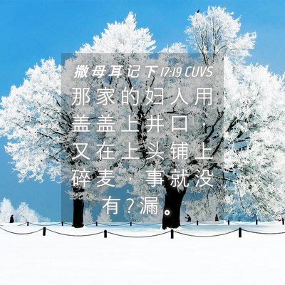 Picture 04 - 撒 母 耳 记 下 17:19 CUVS - 那 家 的 妇 人 用 盖 盖 上 井 口 ， - Bible Verse Picture