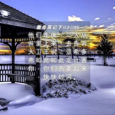 Picture 04 - 撒 母 耳 记 下 17:21 CUVS - 他 们 走 後 ， 二 人 从 井 里 上 来 - Bible Verse Picture
