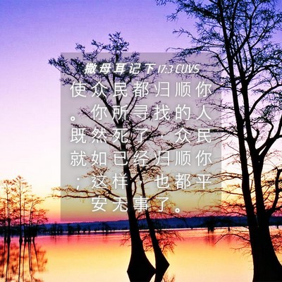 Picture 04 - 撒 母 耳 记 下 17:3 CUVS - 使 众 民 都 归 顺 你 。 你 所 寻 找 - Bible Verse Picture