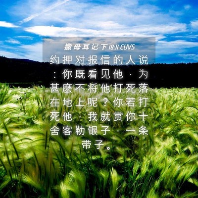 Picture 04 - 撒 母 耳 记 下 18:11 CUVS - 约 押 对 报 信 的 人 说 ： 你 既 看 - Bible Verse Picture