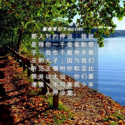 Picture 04 - 撒 母 耳 记 下 18:12 CUVS - 那 人 对 约 押 说 ： 我 就 是 得 你 - Bible Verse Picture