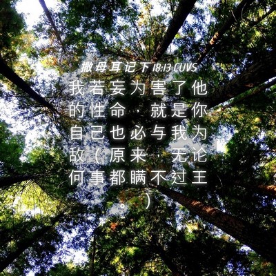Picture 04 - 撒 母 耳 记 下 18:13 CUVS - 我 若 妄 为 害 了 他 的 性 命 ， 就 - Bible Verse Picture