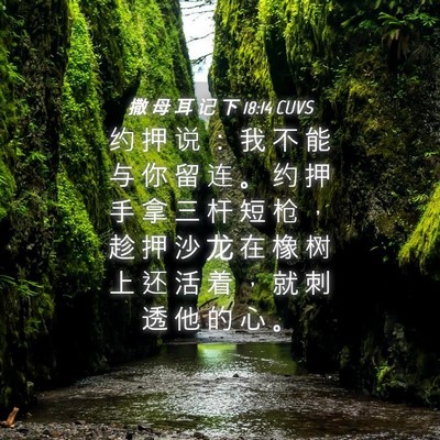Picture 04 - 撒 母 耳 记 下 18:14 CUVS - 约 押 说 ： 我 不 能 与 你 留 连 。 - Bible Verse Picture