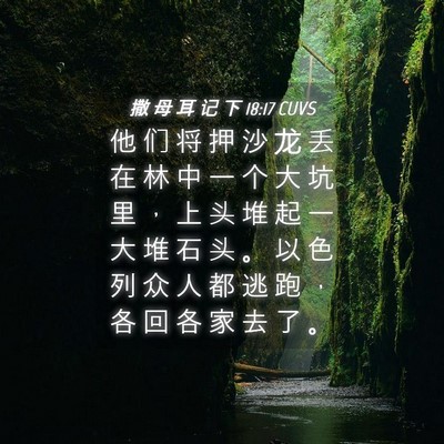 Picture 04 - 撒 母 耳 记 下 18:17 CUVS - 他 们 将 押 沙 龙 丢 在 林 中 一 个 - Bible Verse Picture