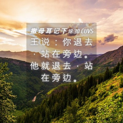 Picture 04 - 撒 母 耳 记 下 18:30 CUVS - 王 说 ： 你 退 去 ， 站 在 旁 边 。 - Bible Verse Picture
