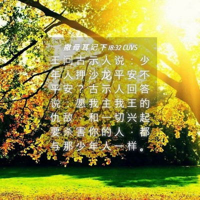 Picture 04 - 撒 母 耳 记 下 18:32 CUVS - 王 问 古 示 人 说 ： 少 年 人 押 沙 - Bible Verse Picture