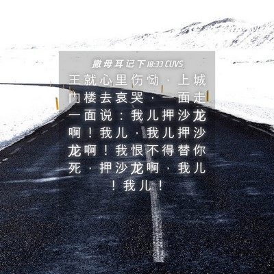 Picture 04 - 撒 母 耳 记 下 18:33 CUVS - 王 就 心 里 伤 恸 ， 上 城 门 楼 去 - Bible Verse Picture