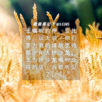 Picture 04 - 撒 母 耳 记 下 18:5 CUVS - 王 嘱 咐 约 押 、 亚 比 筛 、 以 太 - Bible Verse Picture