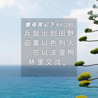 Picture 04 - 撒 母 耳 记 下 18:6 CUVS - 兵 就 出 到 田 野 迎 着 以 色 列 人 - Bible Verse Picture
