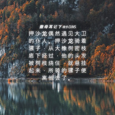 Picture 04 - 撒 母 耳 记 下 18:9 CUVS - 押 沙 龙 偶 然 遇 见 大 卫 的 仆 人 - Bible Verse Picture