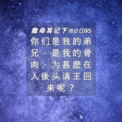 Picture 04 - 撒 母 耳 记 下 19:12 CUVS - 你 们 是 我 的 弟 兄 ， 是 我 的 骨 - Bible Verse Picture