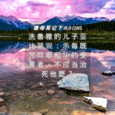 Picture 04 - 撒 母 耳 记 下 19:21 CUVS - 洗 鲁 雅 的 儿 子 亚 比 筛 说 ： 示 - Bible Verse Picture