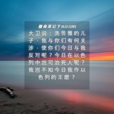 Picture 04 - 撒 母 耳 记 下 19:22 CUVS - 大 卫 说 ： 洗 鲁 雅 的 儿 子 ， 我 - Bible Verse Picture