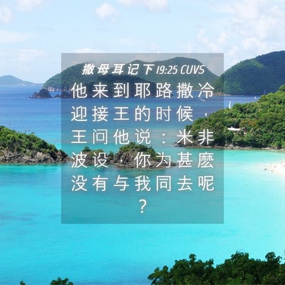 Picture 04 - 撒 母 耳 记 下 19:25 CUVS - 他 来 到 耶 路 撒 冷 迎 接 王 的 时 - Bible Verse Picture