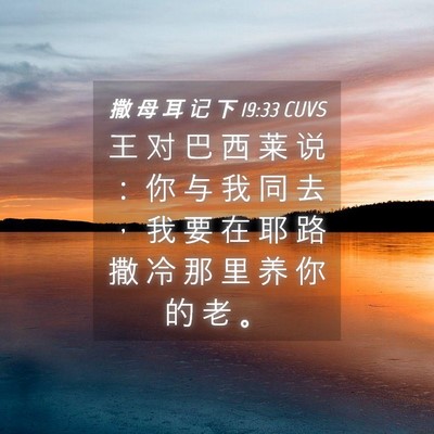 Picture 04 - 撒 母 耳 记 下 19:33 CUVS - 王 对 巴 西 莱 说 ： 你 与 我 同 去 - Bible Verse Picture