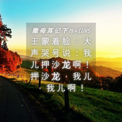 Picture 04 - 撒 母 耳 记 下 19:4 CUVS - 王 蒙 着 脸 ， 大 声 哭 号 说 ： 我 - Bible Verse Picture