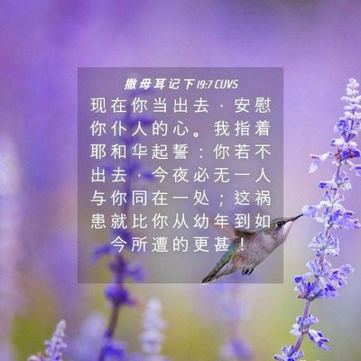 Picture 04 - 撒 母 耳 记 下 19:7 CUVS - 现 在 你 当 出 去 ， 安 慰 你 仆 人 - Bible Verse Picture