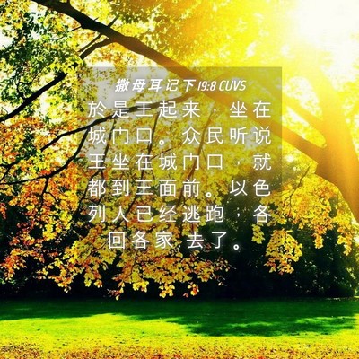 Picture 04 - 撒 母 耳 记 下 19:8 CUVS - 於 是 王 起 来 ， 坐 在 城 门 口 。 - Bible Verse Picture