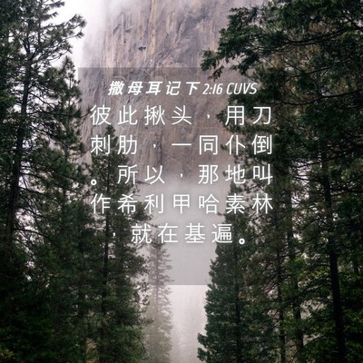 Picture 04 - 撒 母 耳 记 下 2:16 CUVS - 彼 此 揪 头 ， 用 刀 刺 肋 ， 一 同 - Bible Verse Picture