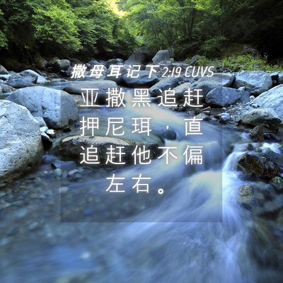 Picture 04 - 撒 母 耳 记 下 2:19 CUVS - 亚 撒 黑 追 赶 押 尼 珥 ， 直 追 赶 - Bible Verse Picture