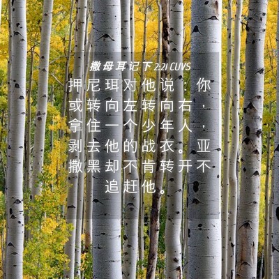 Picture 04 - 撒 母 耳 记 下 2:21 CUVS - 押 尼 珥 对 他 说 ： 你 或 转 向 左 - Bible Verse Picture