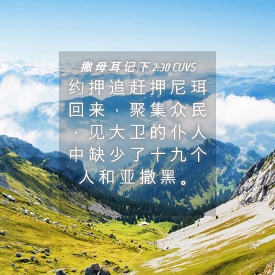Picture 04 - 撒 母 耳 记 下 2:30 CUVS - 约 押 追 赶 押 尼 珥 回 来 ， 聚 集 - Bible Verse Picture