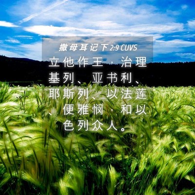 Picture 04 - 撒 母 耳 记 下 2:9 CUVS - 立 他 作 王 ， 治 理 基 列 、 亚 书 - Bible Verse Picture