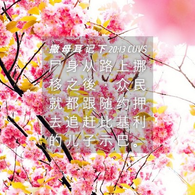 Picture 04 - 撒 母 耳 记 下 20:13 CUVS - 尸 身 从 路 上 挪 移 之 後 ， 众 民 - Bible Verse Picture