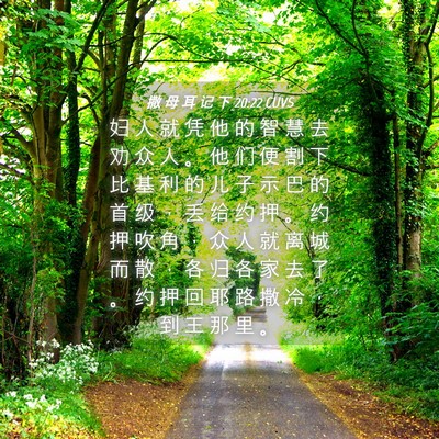 Picture 04 - 撒 母 耳 记 下 20:22 CUVS - 妇 人 就 凭 他 的 智 慧 去 劝 众 人 - Bible Verse Picture