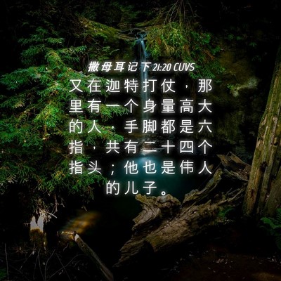 Picture 04 - 撒 母 耳 记 下 21:20 CUVS - 又 在 迦 特 打 仗 ， 那 里 有 一 个 - Bible Verse Picture