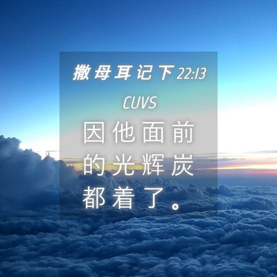 Picture 04 - 撒 母 耳 记 下 22:13 CUVS - 因 他 面 前 的 光 辉 炭 都 着 了 - Bible Verse Picture