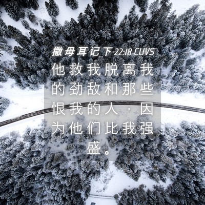 Picture 04 - 撒 母 耳 记 下 22:18 CUVS - 他 救 我 脱 离 我 的 劲 敌 和 那 些 - Bible Verse Picture