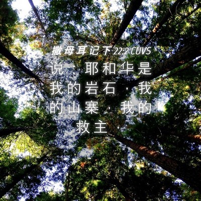 Picture 04 - 撒 母 耳 记 下 22:2 CUVS - 说 ： 耶 和 华 是 我 的 岩 石 ， 我 - Bible Verse Picture